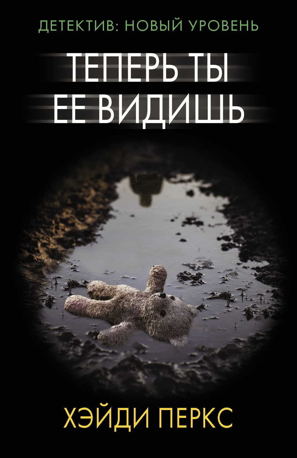 

Теперь ты ее видишь (4344813)