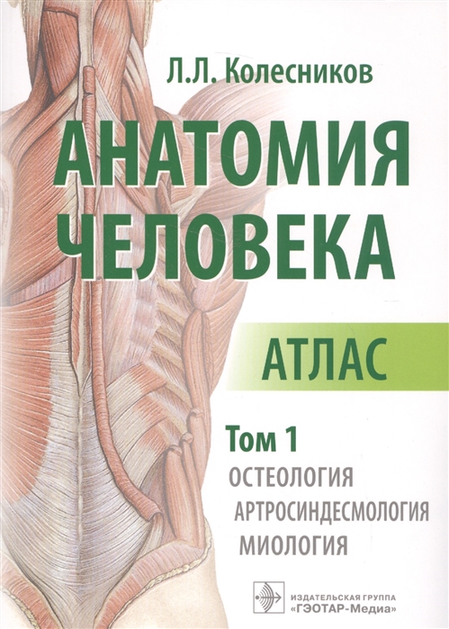 

Анатомия человека. Атлас. В 3 -х томах. Том 1. Остеология. Артросиндесмология. Миология