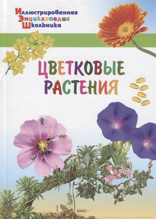 

Цветковые растения