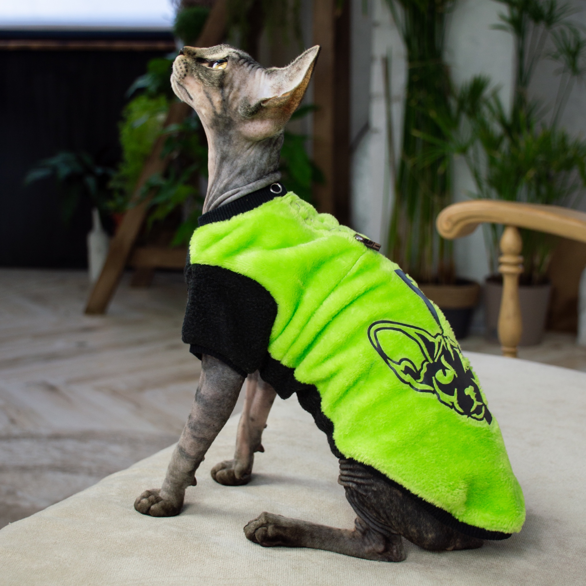 

кофта для кошки Style Pets FaceSPS (KM FSP S br) S