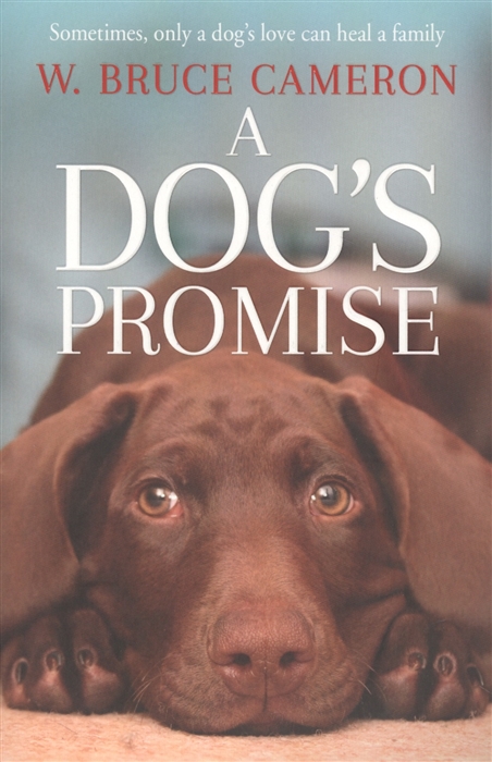 

A Dogs Promise