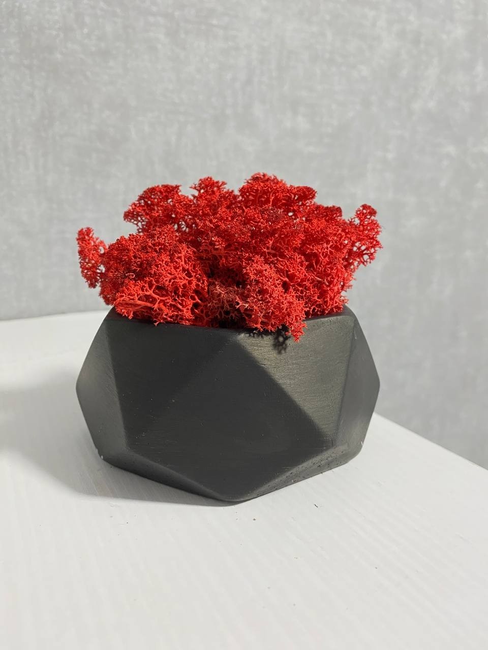 

Стабилизированный красный мох в кашпо h 12 cm