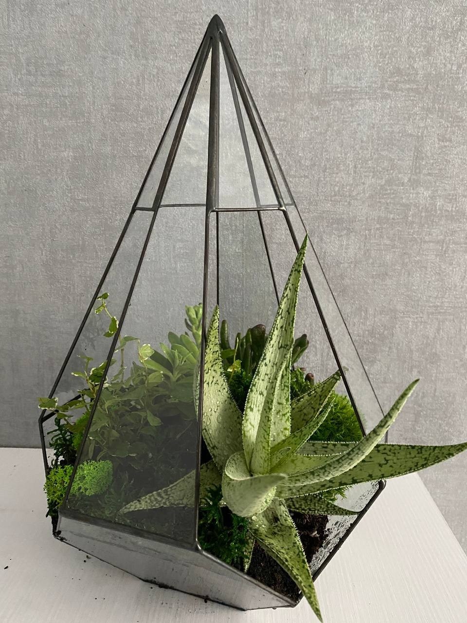 

Флорариум с растениями h 40 cm