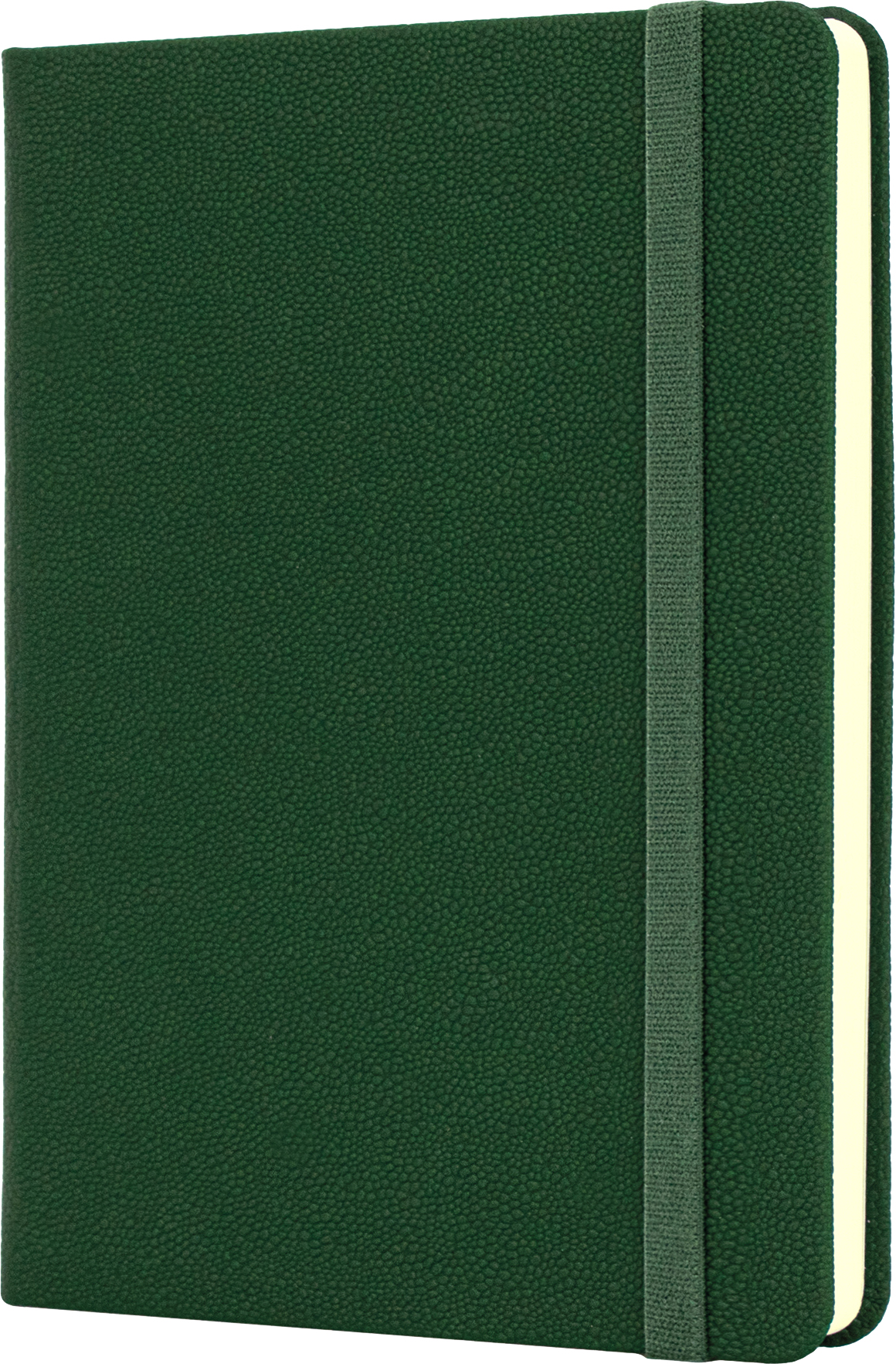 

Деловая записная книга Optima Namib A6 128 л Зеленая (O20387-04)
