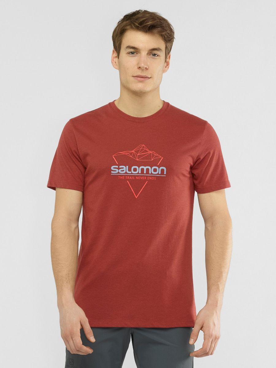 

Футболка Salomon Blend Logo Tee M LC1408500 S Коричневая