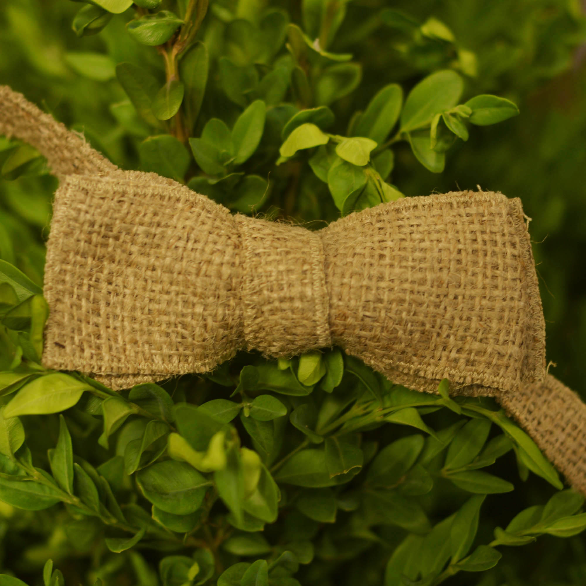 

Галстук-бабочка Bow Tie House Basic узкая с мешковины 05982