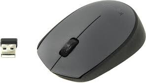 

Мышь Logitech Wireless Mouse M170 беспроводная (6273019)