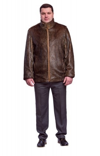 

Мужская шуба TORNADO FUR из меха нерпы  Коричневая (Glp-1521, Мужская шуба TORNADO FUR из меха нерпы S Коричневая (Glp-1521)