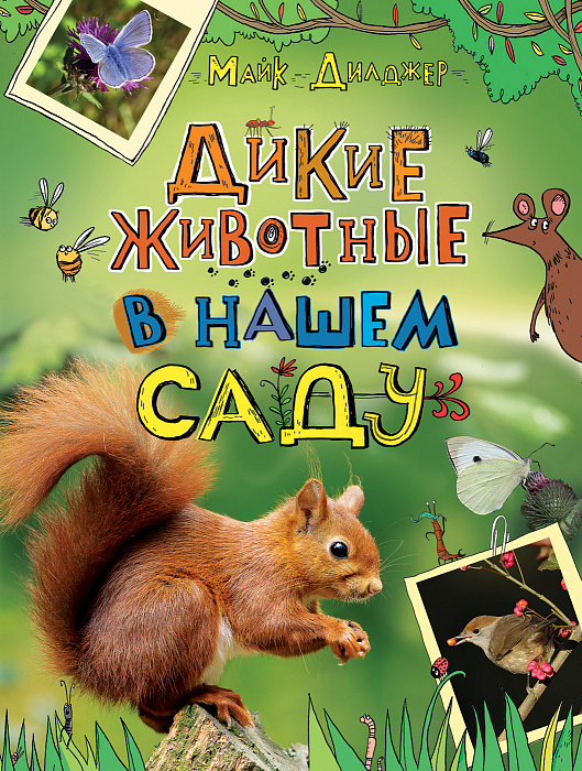 

Дикие животные в нашем саду.