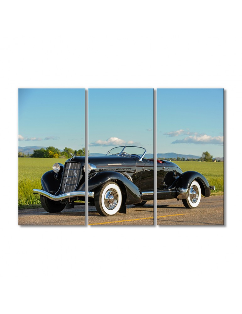 

Модульная картина Artel «1936 год Оберн 852 SC Лодочный Спидстер» 3 модуля 120x180 см