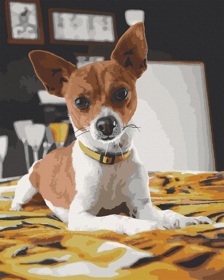 

Картина по номерам Art Craft "Чихуахуа" 40х50 см 11633-AC