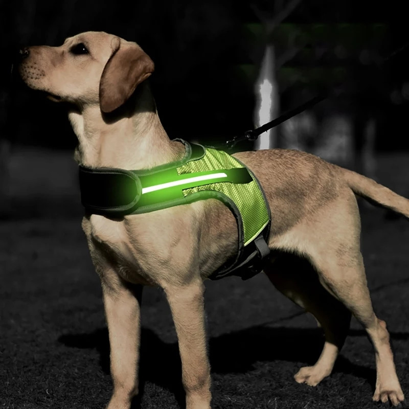 

Шлея с подсветкой для собак DogClub Green S (Г40-50/Ш31-39)