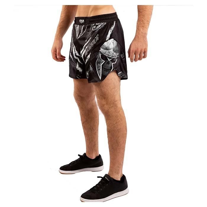

Шорты ММА Venum Gladiator 4.0 Fightshorts Размер, Шорты ММА Venum Gladiator 4.0 Fightshorts Размер: L