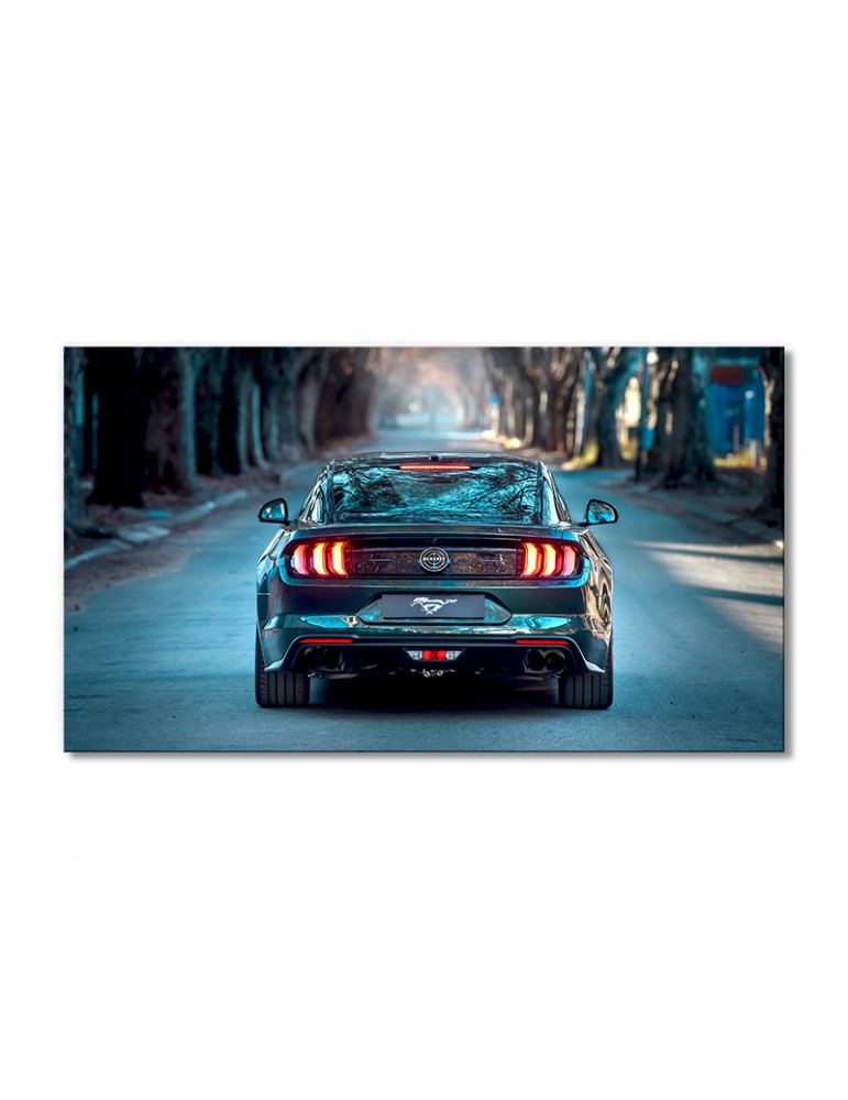 

Модульная картина Artel «Авто зеленый Форд Мустанг» 1 модуль 50x75 см