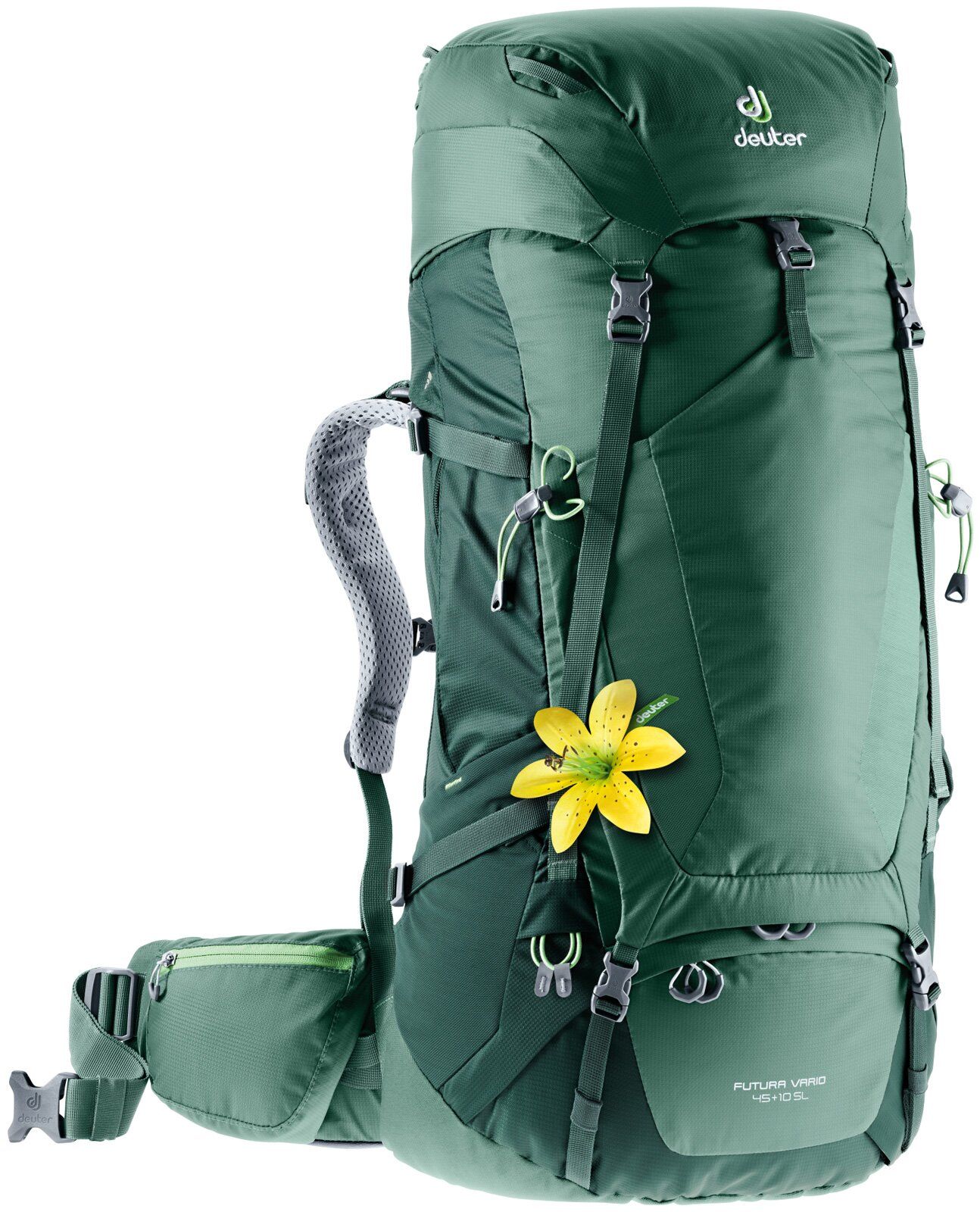 

Рюкзак Deuter Futura Vario SL 45+10л Зеленый (3402018 2247)