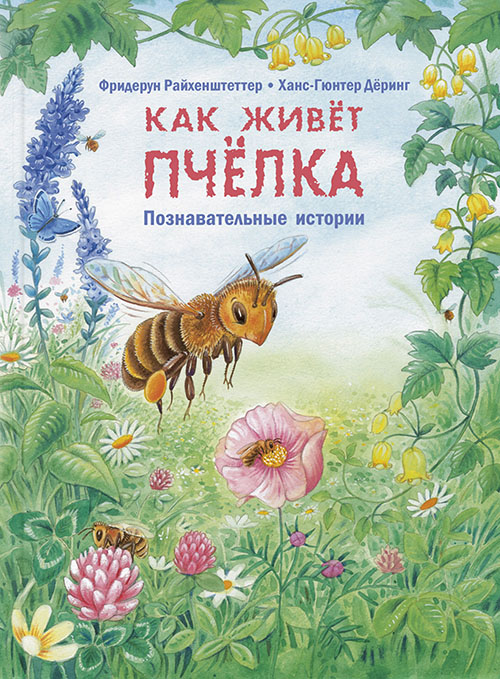 

Как живет пчелка. Познавательные истории - Фридерун Райхенштеттер (978-5-91921-780-0)