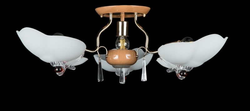 

Люстра с плафонами Ray 9272/3+1 (FGD+OREX) (AN001276)