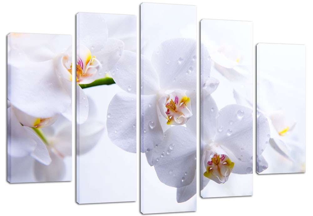 

Модульная картина на холсте из 5 частей DK Place 120x80 см (PLM5-21)