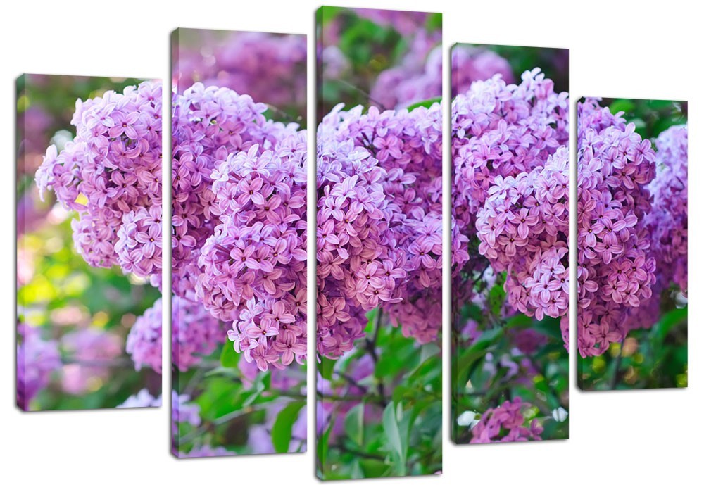 

Модульная картина на холсте из 5 частей DK Place 120x80 см (PLM5-113)