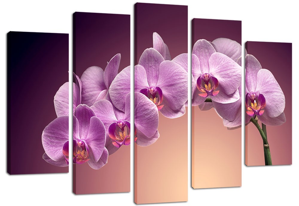 

Модульная картина на холсте из 5 частей DK Place 120x80 см (PLM5-29)