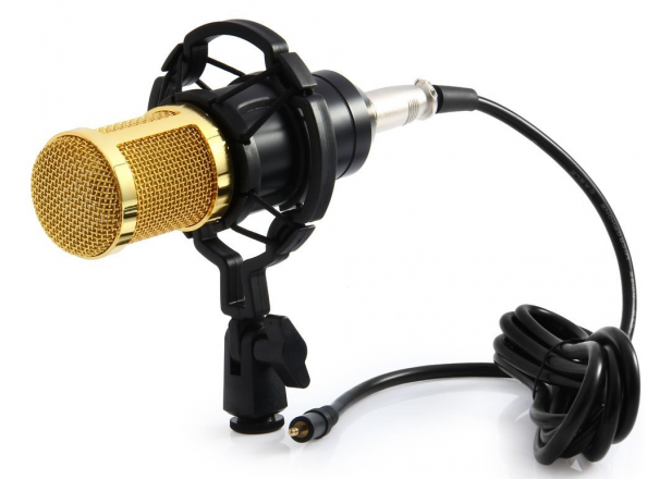 

Микрофон студийный DM 800U