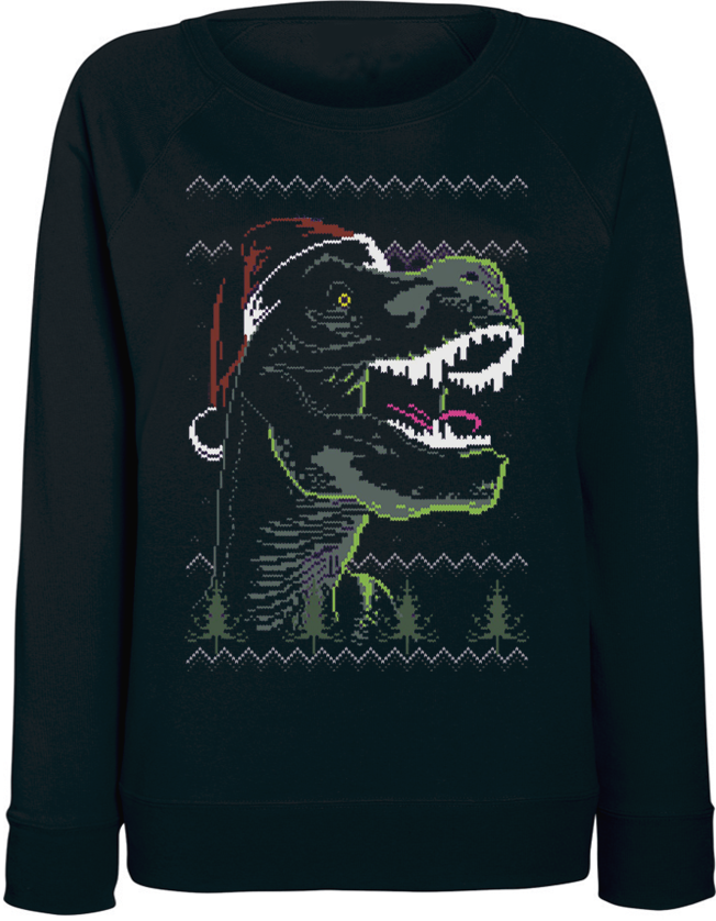 

Женский свитшот Fat Cat Funky Christmas Dinosaur (чёрный)  44334, Женский свитшот Fat Cat Funky Christmas Dinosaur (чёрный) L 44334
