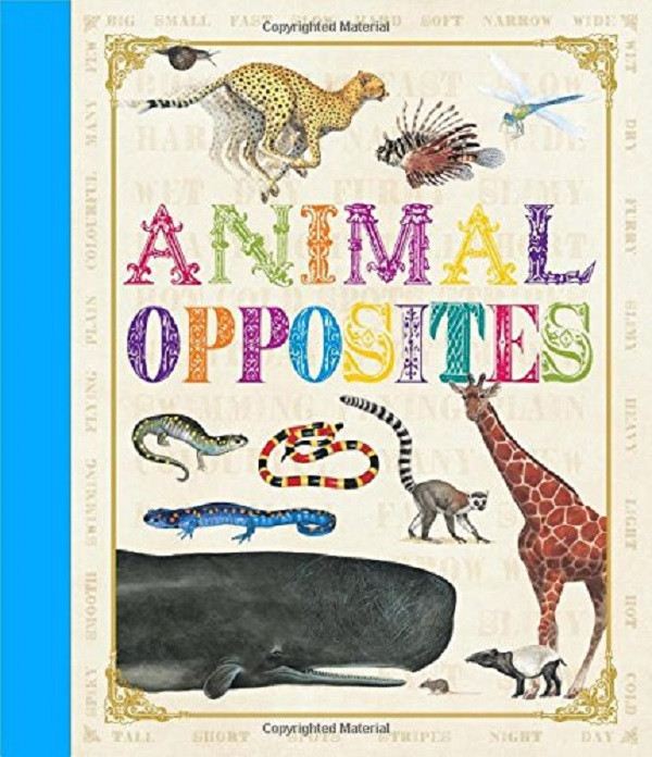 

First Concept: Animal Opposites