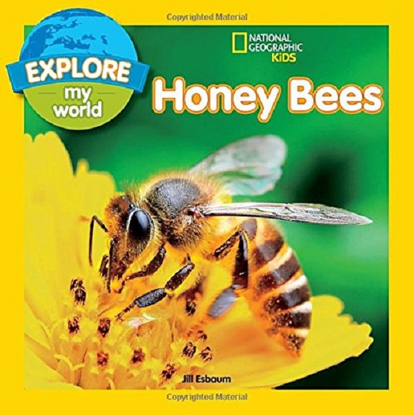 

Explore My World. Honey Bees