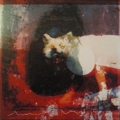 

Виниловая пластинка MOGWAI AS THE LOVE CONTINUES (EAN 5051083164535)