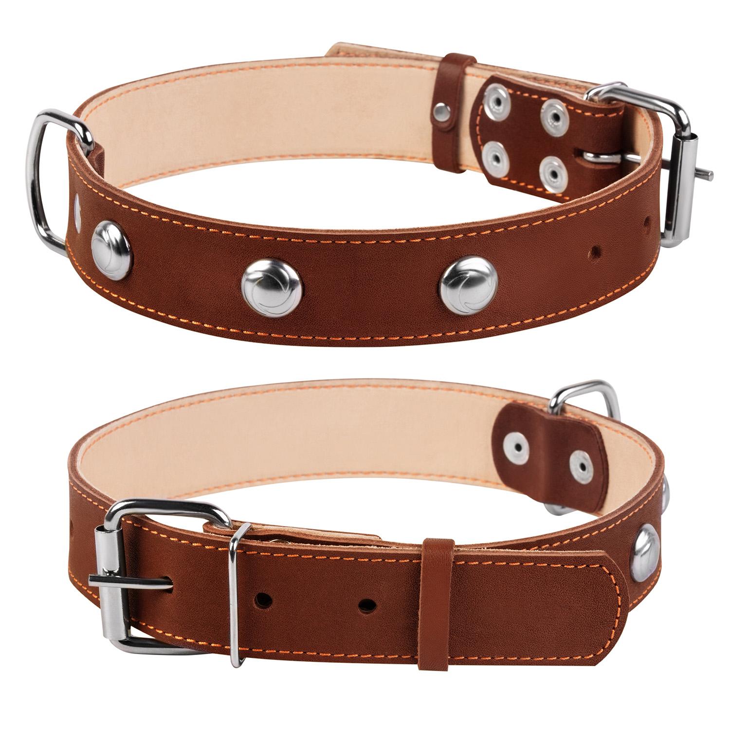 

Ошейник для собак двойной CoLLaR с украшением (4820082496586)