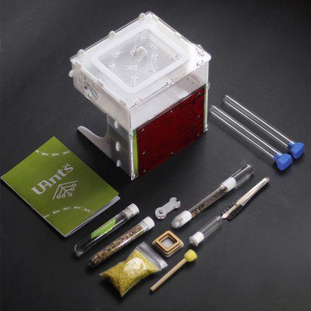 

Муравьиная ферма Олимп стартовый комплект L 150х150х30 мм Подарок для всей семьи