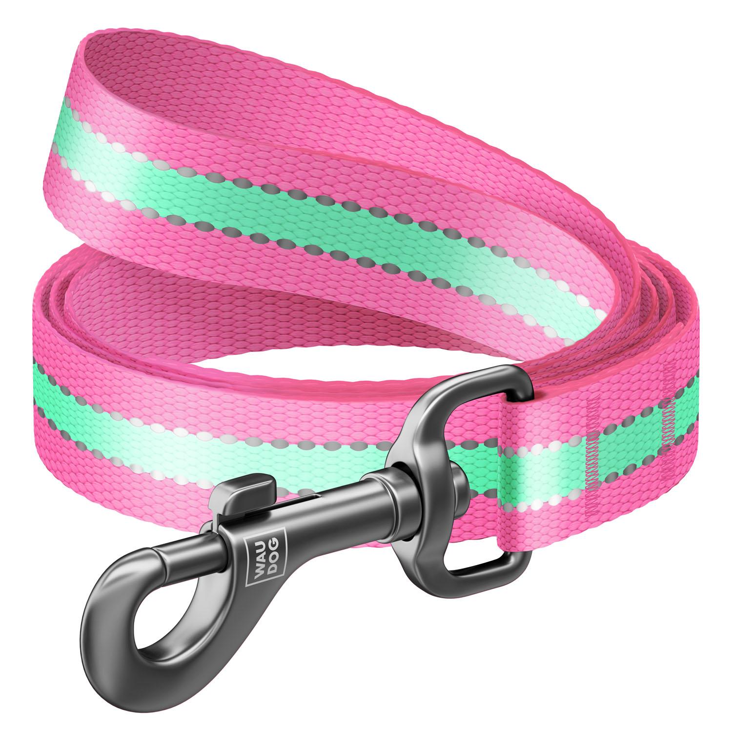 

Поводок для собак нейлоновый WAUDOG Nylon, светящийся/светоотражающий, M, Ш 20 мм, Дл 122 см (4823089312217)