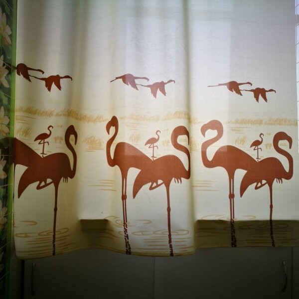 

Штора для ванной Miranda Flamingo 180х200 см Бежевая (12574)