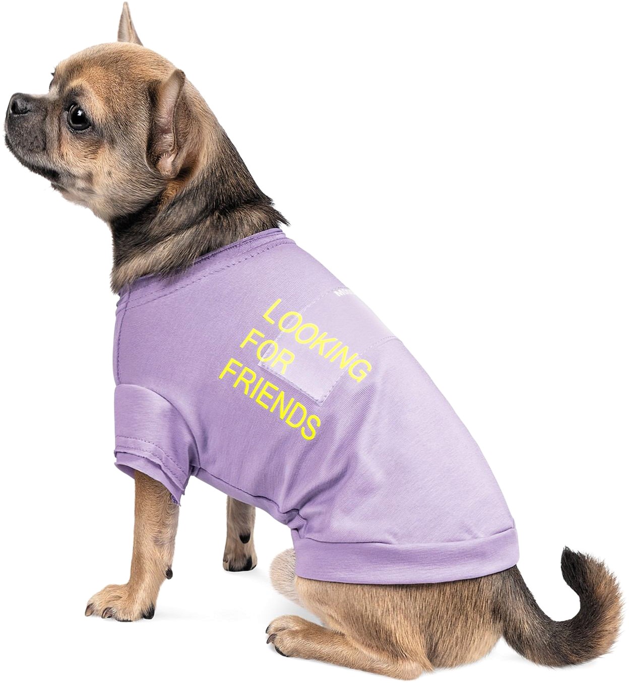 

Футболка для собак Pet Fashion "Game" XS-2 Сиреневая (4823082420865)