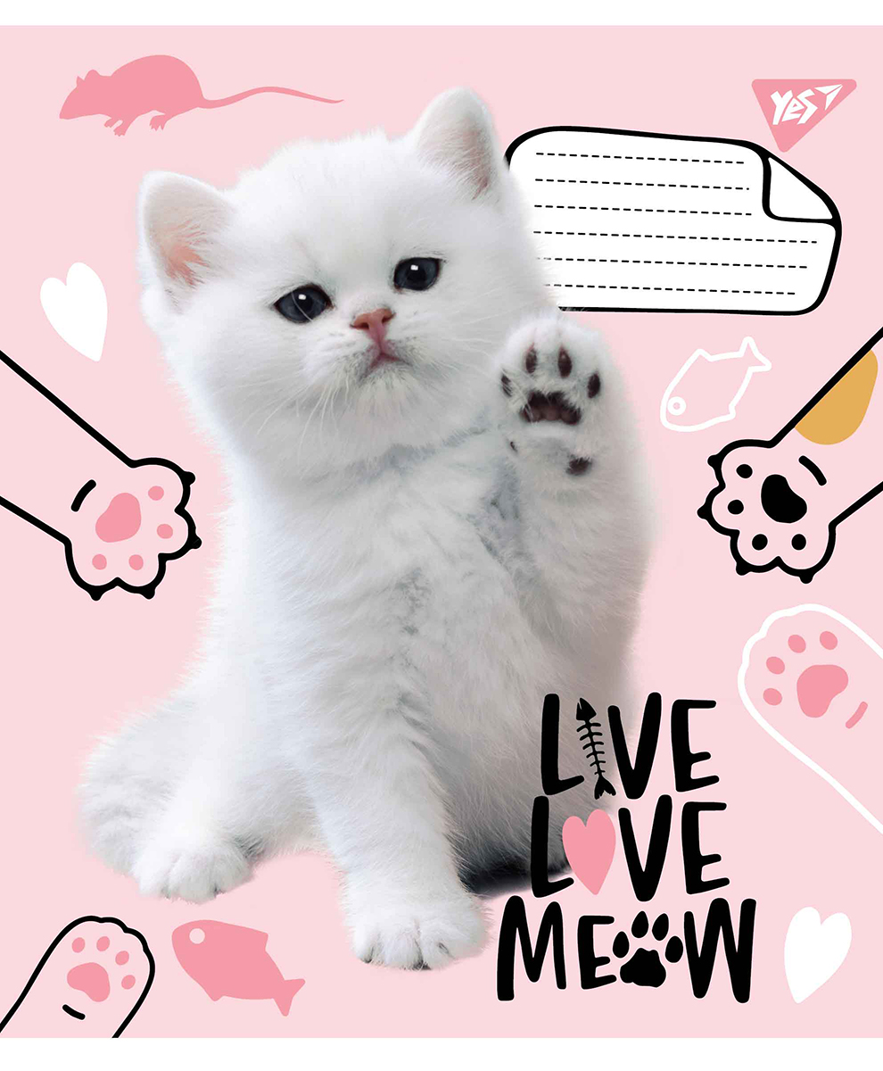 

Набор тетрадей ученических YES Live love meow А5 18 листов в клетку 25 шт (765513)