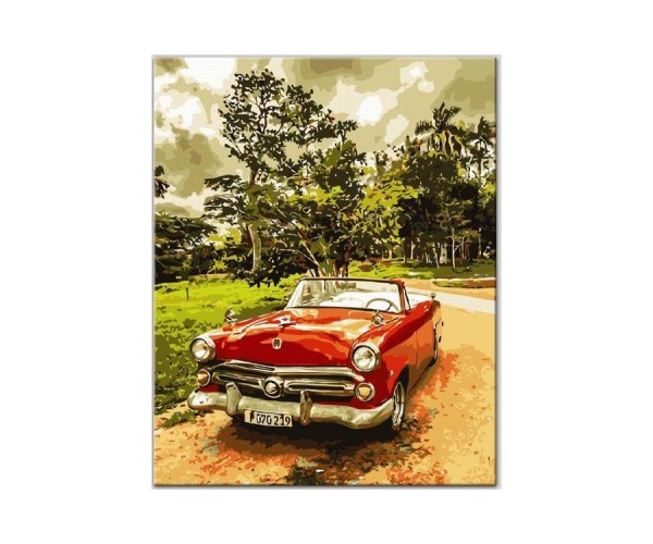 

Картина по номерам Стильное авто ArtStory 40*50 см