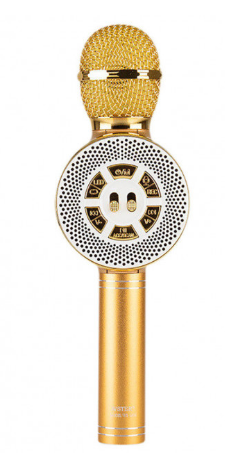 

Детский микрофон с функцией караоке USB, microSD, AUX, Bluetooth Wster WS-669 Золотой