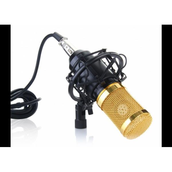 

Микрофон студийный Beats M-800 для профессиональной звукозаписи (7452HZ)
