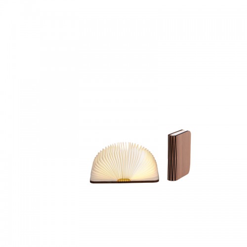 

Светильник книга LEDR walnut brown орех коричневый S