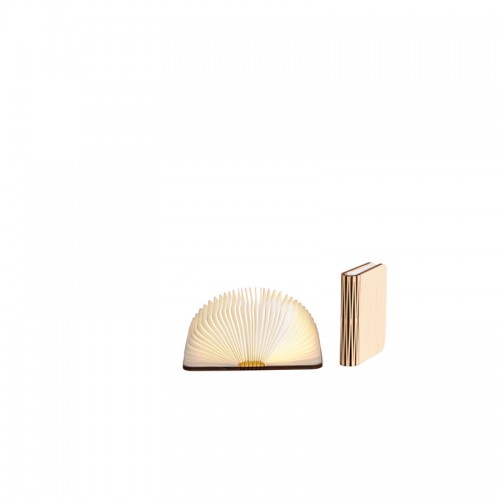 

Светильник книга LEDR maple клён S