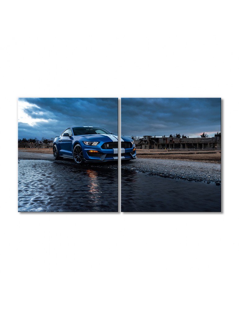 

Модульная картина Artel «Автомобиль Форд Мустанг Шелби GT500» 2 модуля 40х60 см