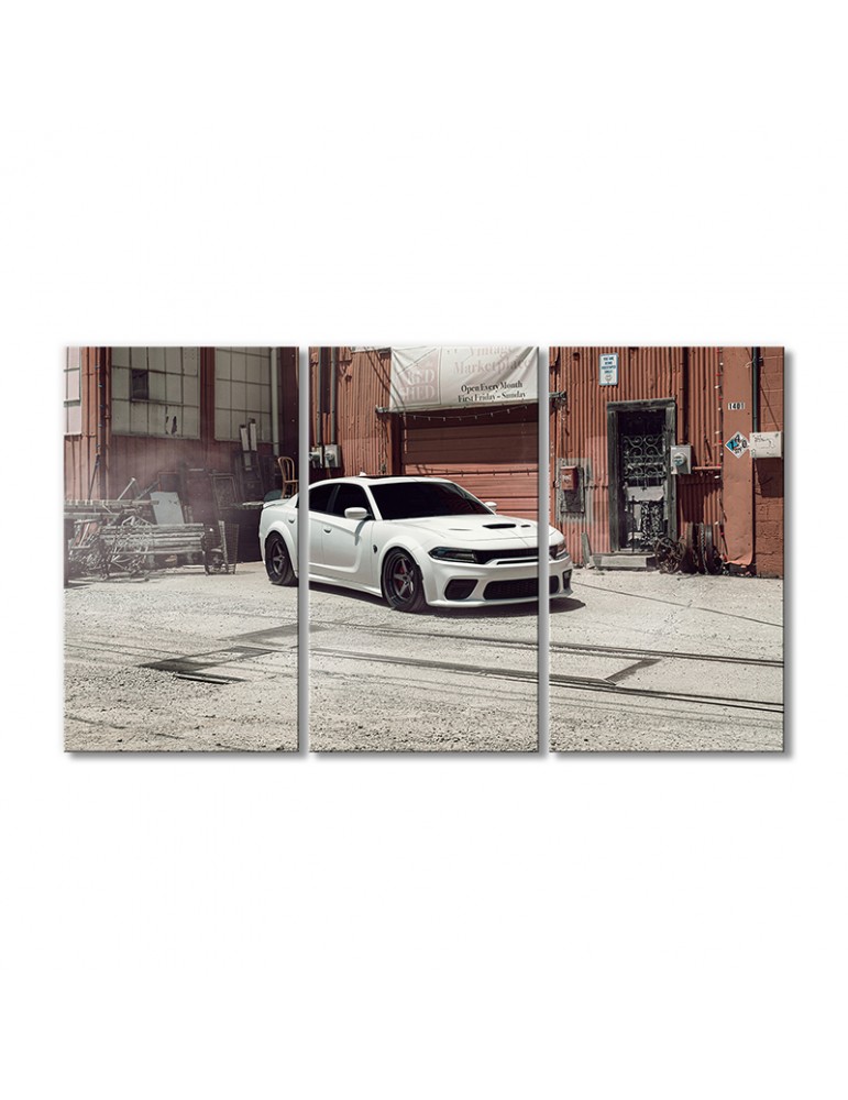 

Модульная картина Artel «Автомобиль Додж 8 белый» 3 модуля 50x75 см