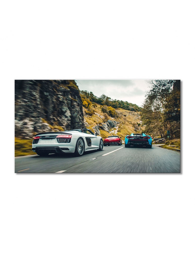 

Модульная картина Artel «Автомобили гоняют Ауди R8 V10» 1 модуль 50x75 см