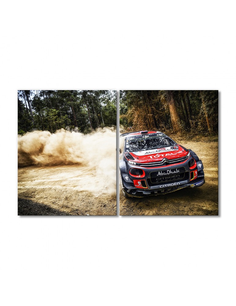 

Модульная картина Artel «Автомобиль Ситроен C3 WRC» 2 модуля 60x90 см