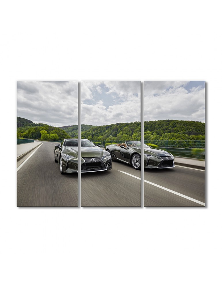 

Модульная картина Artel «Автомобили Лексус ЛЦ 500» 3 модуля 60x90 см