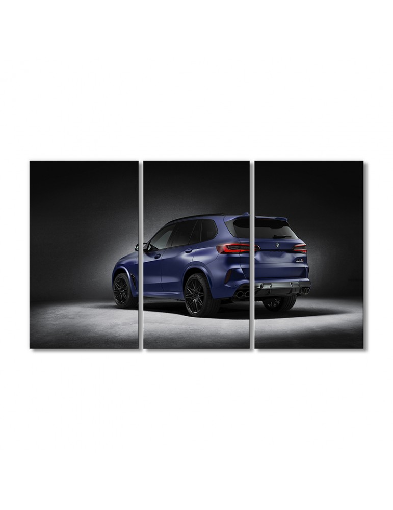 

Модульная картина Artel «Автомобиль БМВ X5m первого выпуска» 3 модуля 90x135 см
