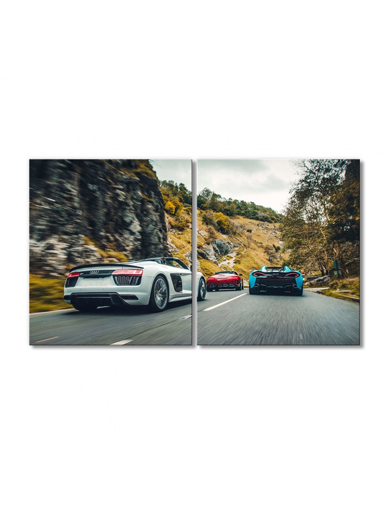 

Модульная картина Artel «Автомобили гоняют Ауди R8 V10» 2 модуля 120x180 см