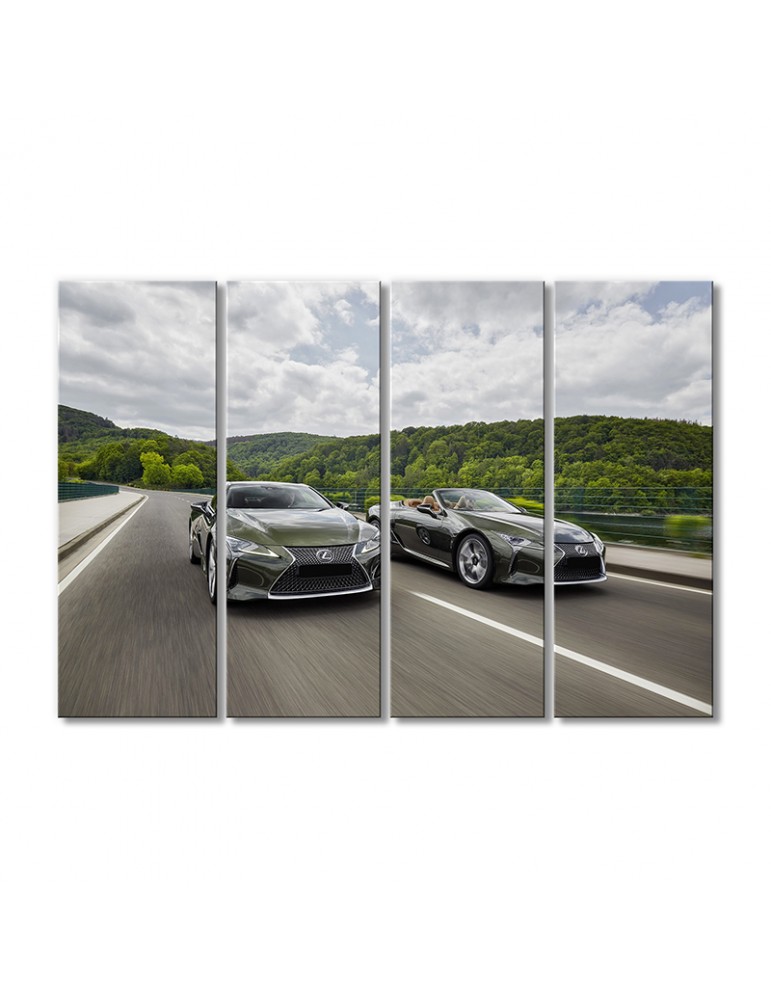 

Модульная картина Artel «Автомобили Лексус ЛЦ 500» 4 модуля 120x180 см