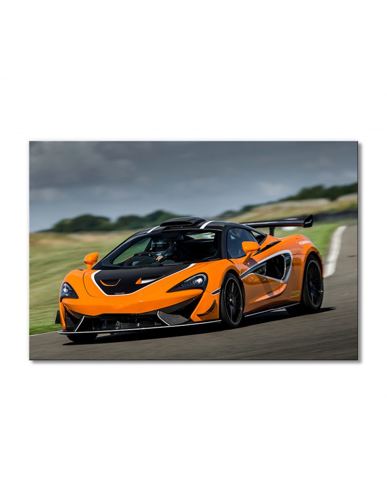 

Модульная картина Artel «Автомобиль Макларен 620R 2020 года» 1 модуль 60x90 см