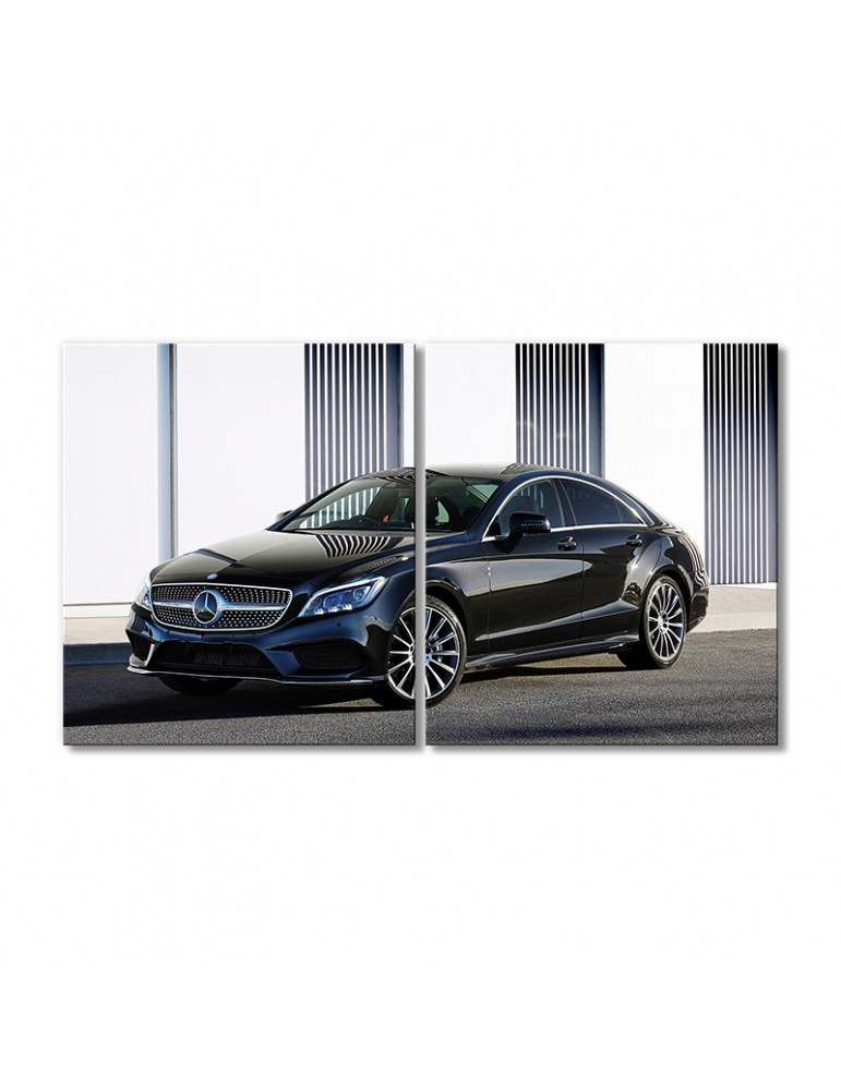 

Модульная картина Artel «Автомобиль Мерседес Бенц CLS 500» 2 модуля 120x180 см